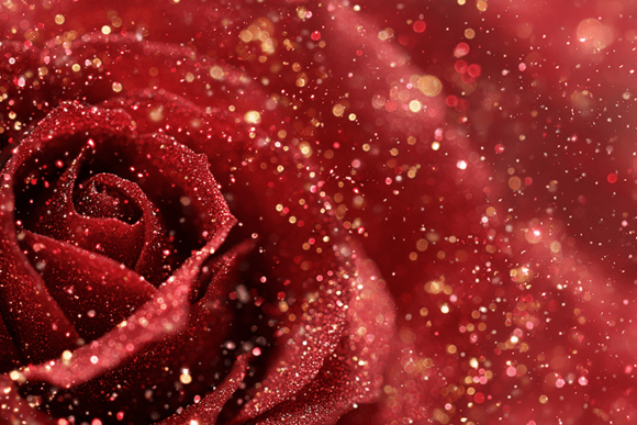 Download Red Rose Glitter Background - Glitter background Collection